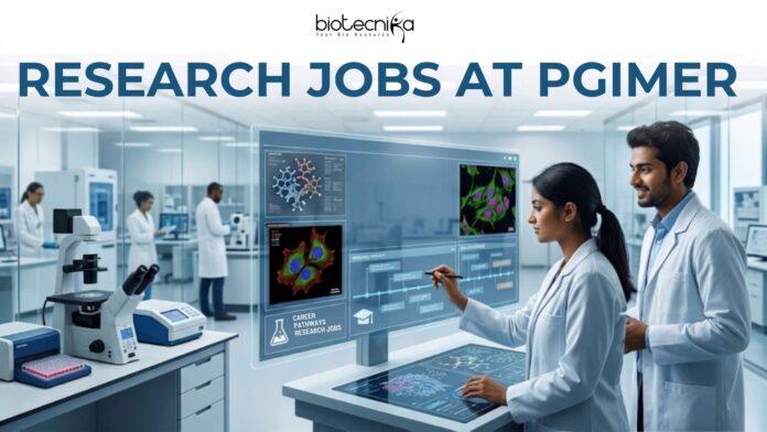 PGIMER Research Jobs 2026 for Life Science Candidates – Apply Before Deadline! Apply for Research Jobs at PGIMER Chandigarh under an ICMR-funded Medical Microbiology project. Explore PGIMER Jobs, & eligibility