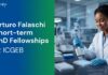 Arturo Falaschi Short-term PhD Fellowships at ICGEB | Applications Open Apply for the Arturo Falaschi Short-Term PhD Fellowship. International Chance Offering Advanced Life Sciences Research Training & Funding.