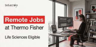 Remote Life Sciences Jobs at Thermo Fisher | Apply Online Thermo Fisher Career- Research Associate Role: Apply for Remote Life Sciences Jobs in Clinical Research and Evidence Synthesis.