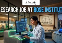 Research Job at Bose Institute with ₹42,000 Salary – Apply Online Today! Apply for a Research Job at Bose Institute Careers. Project Associate-II vacancy in Kolkata with salary up to ₹42,000 + HRA.