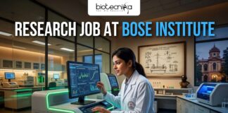 Research Job at Bose Institute with ₹42,000 Salary – Apply Online Today! Apply for a Research Job at Bose Institute Careers. Project Associate-II vacancy in Kolkata with salary up to ₹42,000 + HRA.