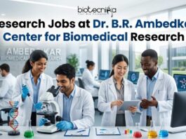 Research Jobs at Dr. B.R. Ambedkar Center for Biomedical Research (ACBR) | Apply Online Here Research Jobs at Dr. B.R. Ambedkar Center for Biomedical Research (ACBR) | Apply Online Here