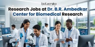 Research Jobs at Dr. B.R. Ambedkar Center for Biomedical Research (ACBR) | Apply Online Here Research Jobs at Dr. B.R. Ambedkar Center for Biomedical Research (ACBR) | Apply Online Here