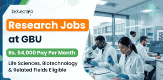 Rs. 54,000/- Per Month Salary Research Jobs in Biotechnology at GBU | Apply Online Apply for GBU Recruitment 2026. Research Jobs for PhD Biotechnology, Life Sciences, Microbiology and Biochemistry candidates.