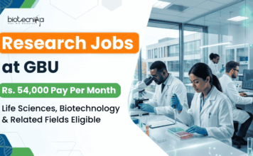 Rs. 54,000/- Per Month Salary Research Jobs in Biotechnology at GBU | Apply Online Apply for GBU Recruitment 2026. Research Jobs for PhD Biotechnology, Life Sciences, Microbiology and Biochemistry candidates.
