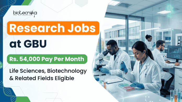 Research Jobs at GBU Apply for GBU Recruitment 2026. Research Jobs for PhD Biotechnology, Life Sciences, Microbiology and Biochemistry candidates.
