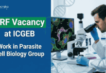 SRF Vacancy at ICGEB – Life Sciences Candidates Apply Online Apply for ICGEB Recruitment 2026 SRF Vacancy. Explore Life Sciences Jobs in a DBT-Funded Research Project in New Delhi.