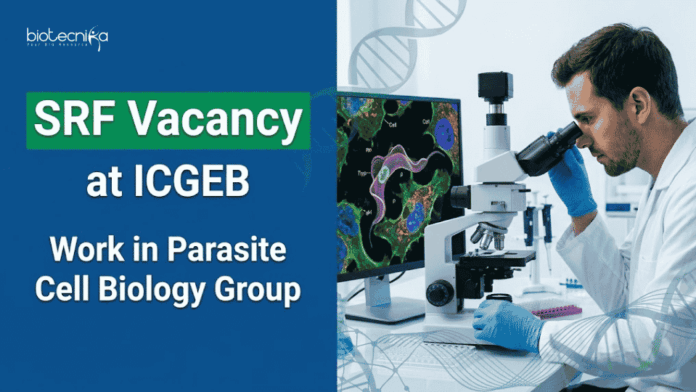 SRF Vacancy at ICGEB Apply for ICGEB Recruitment 2026 SRF Vacancy. Explore Life Sciences Jobs in a DBT-Funded Research Project in New Delhi.