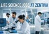Life Science Jobs at Zentiva | Candidates Apply Now