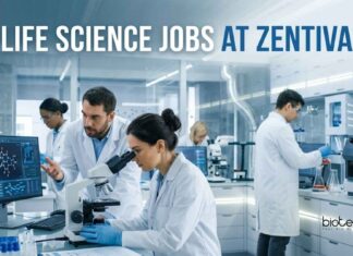 Zentiva Careers 2026 | Life Science QA Jobs Life Science Jobs at Zentiva | Candidates Apply Now