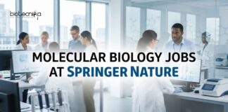 Springer Nature Careers 2026 | Molecular Biology & Research Editor Jobs Molecular Biology Jobs at Springer Nature | Candidates Apply Now