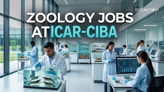 Zoology Jobs at ICAR-CIBA | Candidates Apply Now Zoology Jobs at ICAR-CIBA | Candidates Apply Now