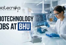 Research Assistant Jobs at BHU – Biotechnology & Life Sciences Apply Now Biotechnology Jobs at BHU | Candidates Apply Now