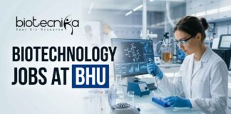 Research Assistant Jobs at BHU – Biotechnology & Life Sciences Apply Now Biotechnology Jobs at BHU | Candidates Apply Now