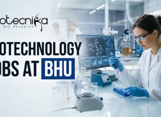 Biotechnology Jobs at BHU | Candidates Apply Now