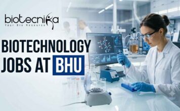Research Assistant Jobs at BHU – Biotechnology & Life Sciences Apply Now Biotechnology Jobs at BHU | Candidates Apply Now