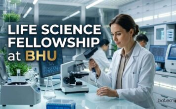 BHU Careers 2026: DBT-Funded Junior Research Fellow (JRF) Positions | Apply Now Life Science Fellowship at BHU | Candidates Apply Now