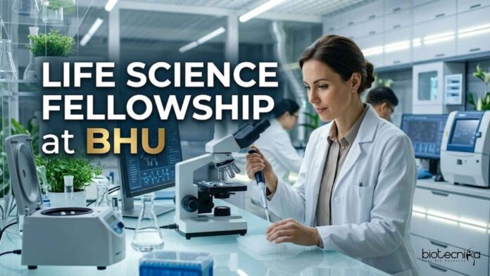 Life Science Fellowship at BHU | Candidates Apply Now Life Science Fellowship at BHU | Candidates Apply Now