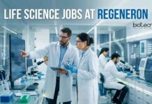 Regeneron Hiring Life Science Graduates | Regulatory Affairs Role | Apply Now Life Science Jobs at Regeneron | Apply Now