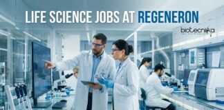 Regeneron Hiring Life Science Graduates | Regulatory Affairs Role | Apply Now Life Science Jobs at Regeneron | Apply Now
