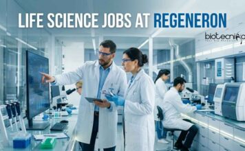 Regeneron Hiring Life Science Graduates | Regulatory Affairs Role | Apply Now Life Science Jobs at Regeneron | Apply Now
