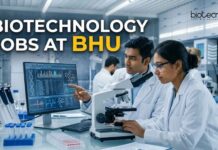 BHU Biotechnology Jobs 2026: Junior Research Assistant Vacancy – Apply Now Biotechnology Jobs at BHU | Apply Now