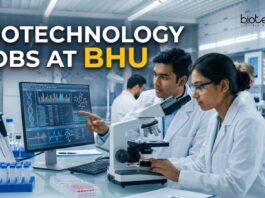 Biotechnology Jobs at BHU | Apply Now