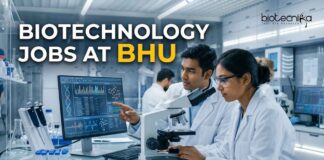 BHU Biotechnology Jobs 2026: Junior Research Assistant Vacancy – Apply Now Biotechnology Jobs at BHU | Apply Now