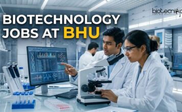 BHU Biotechnology Jobs 2026: Junior Research Assistant Vacancy – Apply Now Biotechnology Jobs at BHU | Apply Now