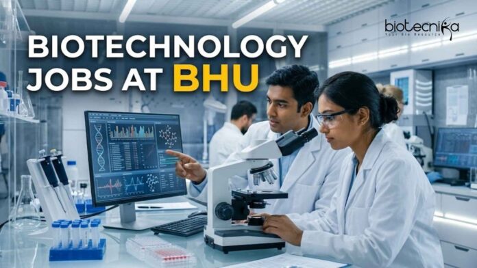 Biotechnology Jobs at BHU | Apply Now Biotechnology Jobs at BHU | Apply Now