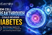 New Stem Cell Treatment Fights Diabetes by Fixing the Immune System, Not Just Blood Sugar Stem Cell Breakthrough Could Reverse Diabetes