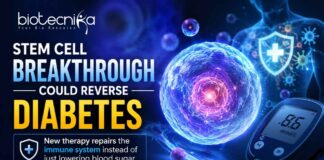 Stem Cell Breakthrough Could Reverse Diabetes