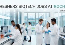 Roche Careers – Freshers Biotech Jobs | Apply Now Freshers Biotech Jobs at Roche Careers