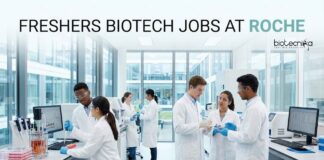 Roche Careers – Freshers Biotech Jobs | Apply Now Freshers Biotech Jobs at Roche Careers