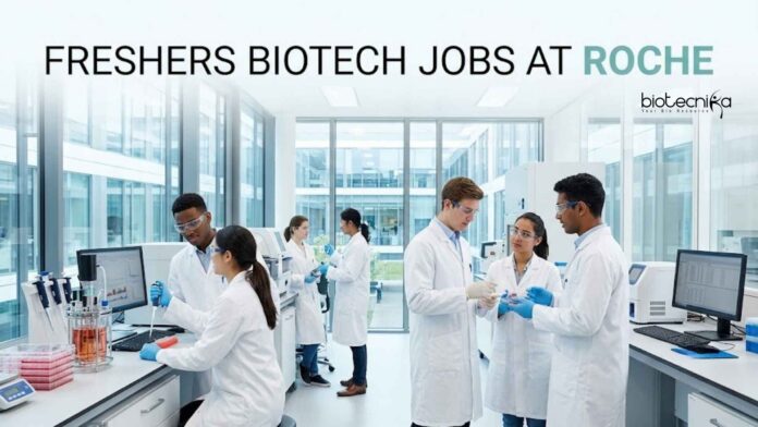 Freshers Biotech Jobs at Roche Careers Freshers Biotech Jobs at Roche Careers