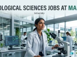 MAHE Project Assistant Jobs 2026 | Biological Sciences Graduates Apply Now Biological Sciences Jobs at MAHE Careers