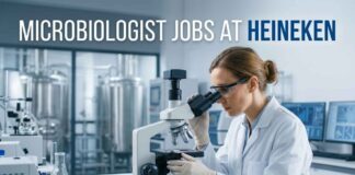 Heineken Careers: Microbiologist & QA Jobs – Apply Now Microbiologist Jobs at Heineken | Candidates Apply Now