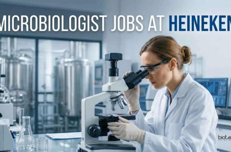 Heineken Careers: Microbiologist & QA Jobs – Apply Now Microbiologist Jobs at Heineken | Candidates Apply Now