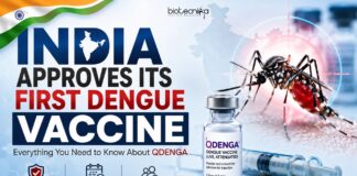 India’s First Dengue Vaccine Approved: A Game-Changer Against Dengue? India Approves Its First Dengue Vaccine