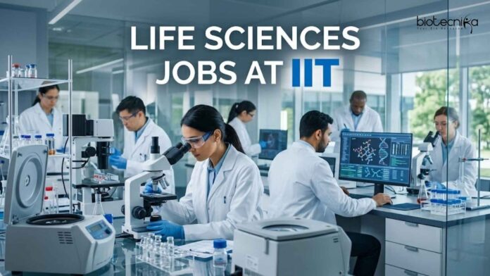 Life Sciences Jobs at IIT | Apply Now Life Sciences Jobs at IIT | Apply Now