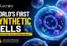 World’s First Synthetic Cells That Can Feed, Grow and Reproduce 