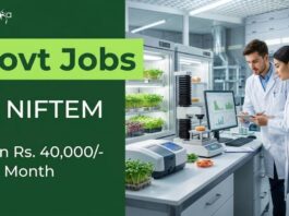 Apply for Young Professional Jobs at NIFTEM Recruitment. Discover Food Tech Jobs with a Focus on Research and Development.