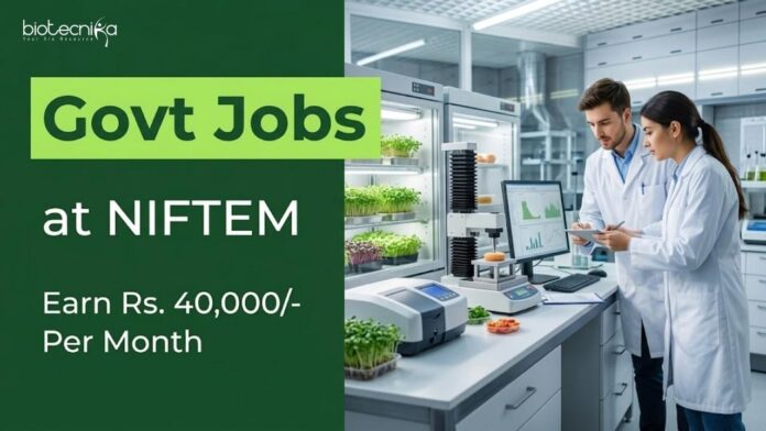 Young Professional Jobs at NIFTEM Apply for Young Professional Jobs at NIFTEM Recruitment. Discover Food Tech Jobs with a Focus on Research and Development.