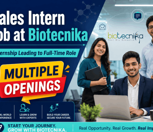 Sales Intern Job